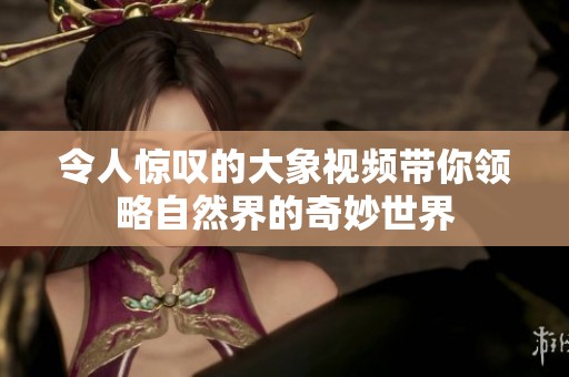 令人惊叹的大象视频带你领略自然界的奇妙世界