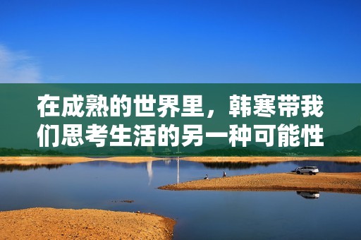 在成熟的世界里，韩寒带我们思考生活的另一种可能性