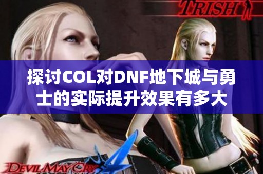 探讨COL对DNF地下城与勇士的实际提升效果有多大