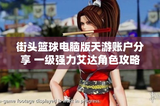 街头篮球电脑版天游账户分享 一级强力艾达角色攻略