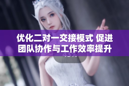优化二对一交接模式 促进团队协作与工作效率提升