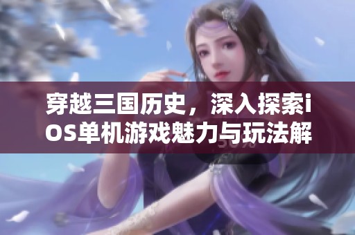 穿越三国历史，深入探索iOS单机游戏魅力与玩法解析