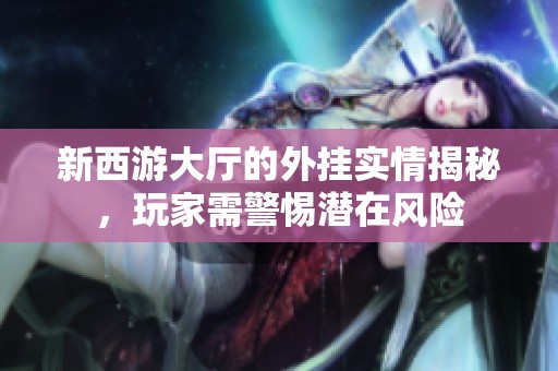 新西游大厅的外挂实情揭秘，玩家需警惕潜在风险