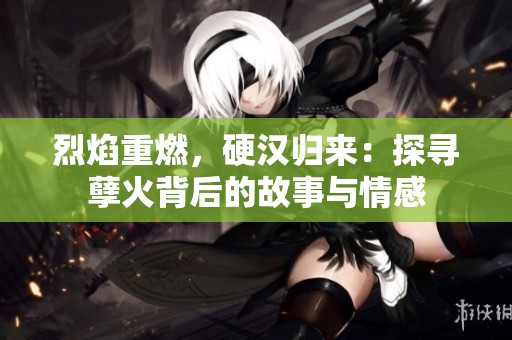 烈焰重燃，硬汉归来：探寻孽火背后的故事与情感