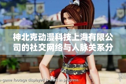 神北克动漫科技上海有限公司的社交网络与人脉关系分析