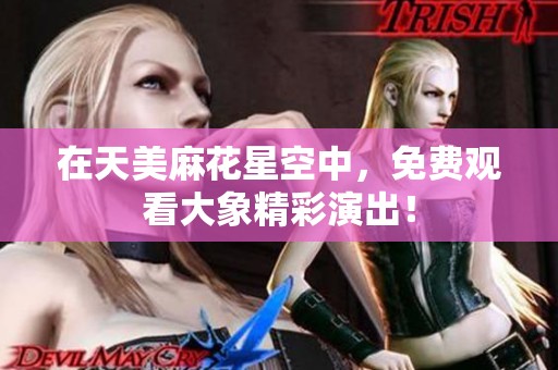在天美麻花星空中，免费观看大象精彩演出！