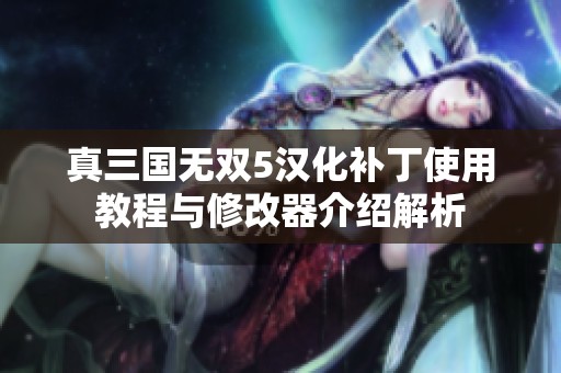 真三国无双5汉化补丁使用教程与修改器介绍解析