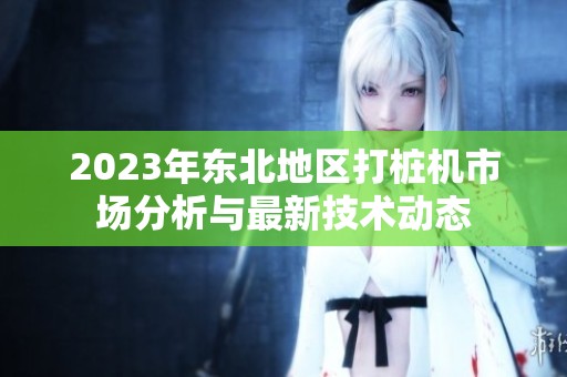 2023年东北地区打桩机市场分析与最新技术动态