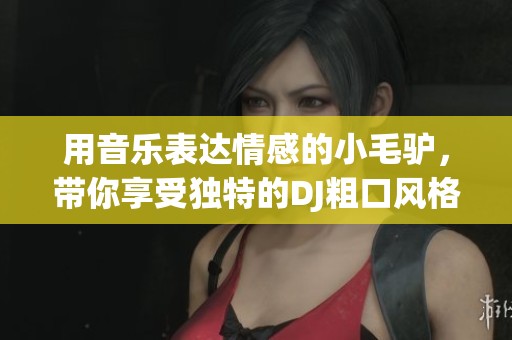 用音乐表达情感的小毛驴，带你享受独特的DJ粗口风格