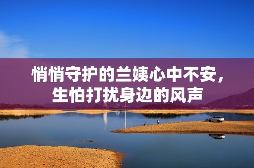 悄悄守护的兰姨心中不安，生怕打扰身边的风声
