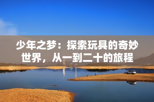 少年之梦：探索玩具的奇妙世界，从一到二十的旅程
