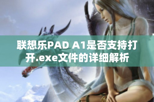 联想乐PAD A1是否支持打开.exe文件的详细解析