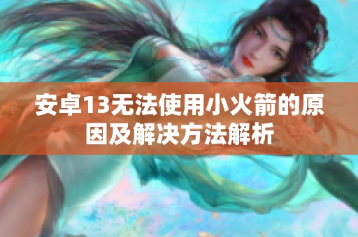 安卓13无法使用小火箭的原因及解决方法解析
