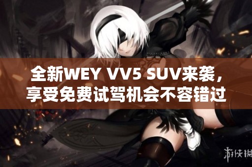 全新WEY VV5 SUV来袭，享受免费试驾机会不容错过