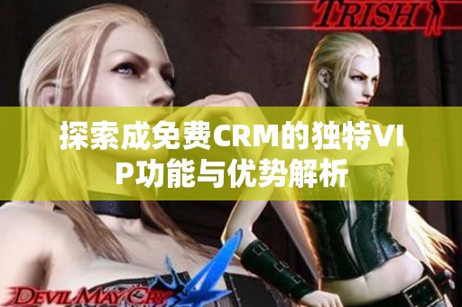 探索成免费CRM的独特VIP功能与优势解析