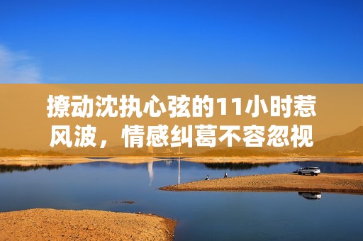 撩动沈执心弦的11小时惹风波，情感纠葛不容忽视