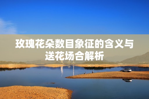 玫瑰花朵数目象征的含义与送花场合解析