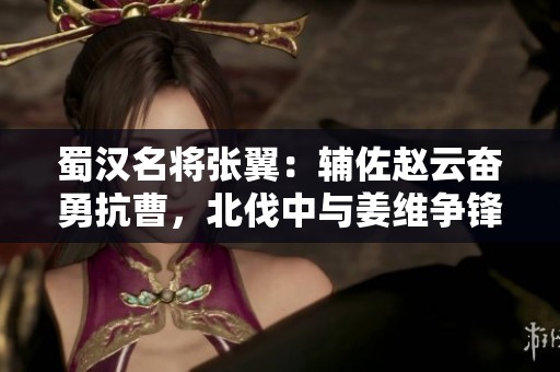 蜀汉名将张翼：辅佐赵云奋勇抗曹，北伐中与姜维争锋相对