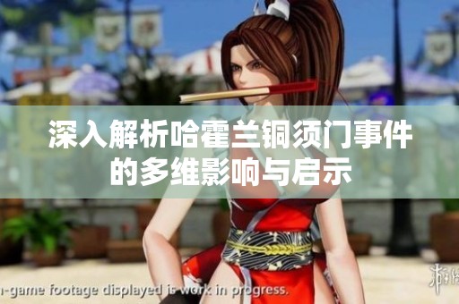深入解析哈霍兰铜须门事件的多维影响与启示