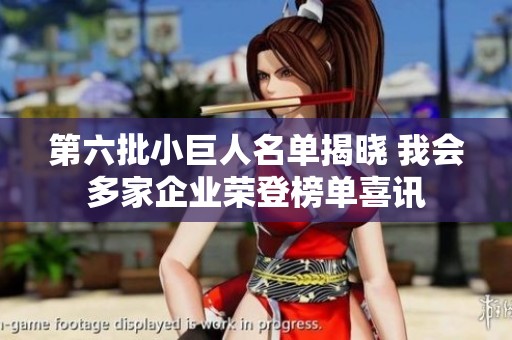 第六批小巨人名单揭晓 我会多家企业荣登榜单喜讯