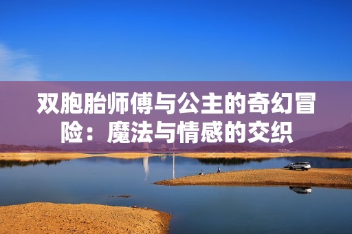双胞胎师傅与公主的奇幻冒险：魔法与情感的交织