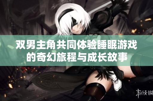 双男主角共同体验睡眠游戏的奇幻旅程与成长故事