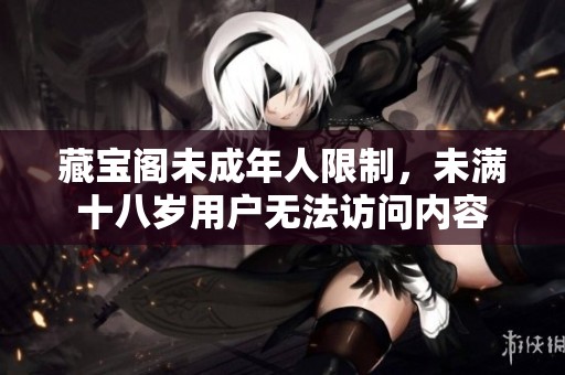 藏宝阁未成年人限制，未满十八岁用户无法访问内容