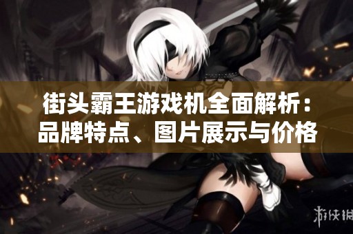 街头霸王游戏机全面解析：品牌特点、图片展示与价格信息