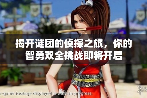 揭开谜团的侦探之旅，你的智勇双全挑战即将开启