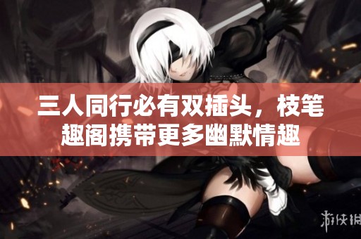 三人同行必有双插头，枝笔趣阁携带更多幽默情趣
