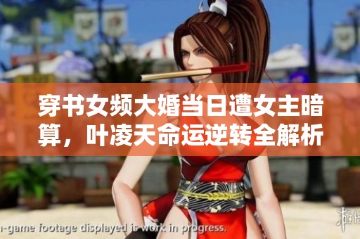 穿书女频大婚当日遭女主暗算，叶凌天命运逆转全解析