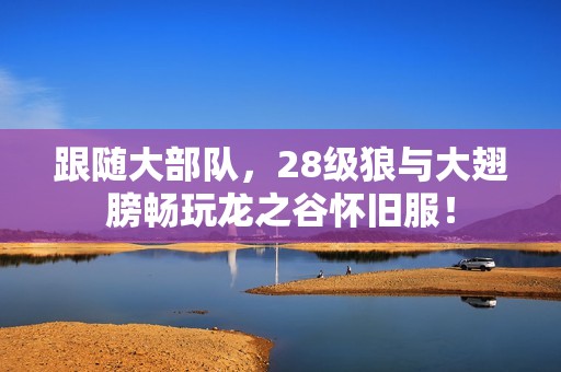 跟随大部队，28级狼与大翅膀畅玩龙之谷怀旧服！
