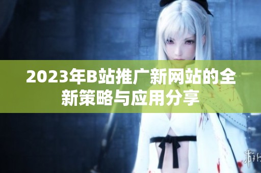 2023年B站推广新网站的全新策略与应用分享