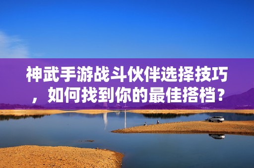 神武手游战斗伙伴选择技巧，如何找到你的最佳搭档？
