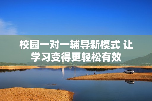 校园一对一辅导新模式 让学习变得更轻松有效