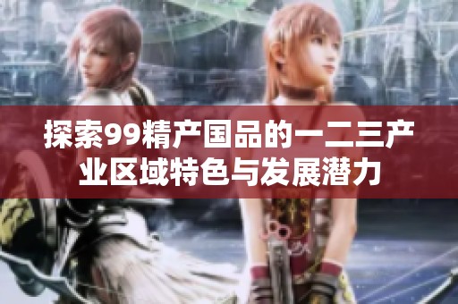 探索99精产国品的一二三产业区域特色与发展潜力