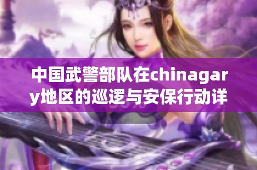 中国武警部队在chinagary地区的巡逻与安保行动详细报告