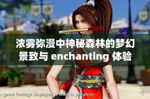 浓雾弥漫中神秘森林的梦幻景致与 enchanting 体验