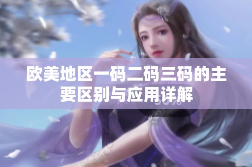 欧美地区一码二码三码的主要区别与应用详解