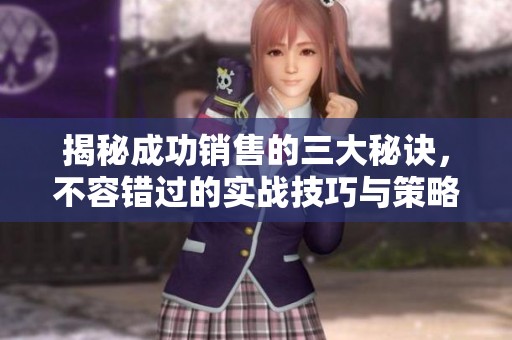 揭秘成功销售的三大秘诀，不容错过的实战技巧与策略