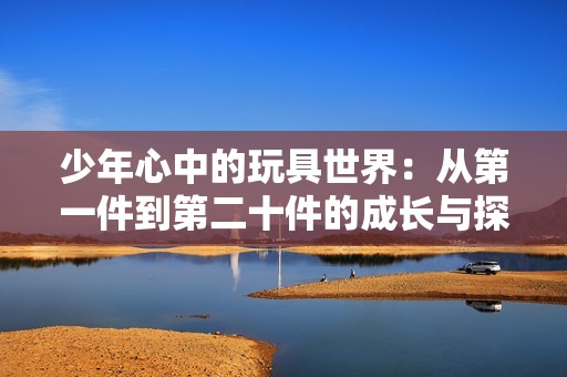 少年心中的玩具世界：从第一件到第二十件的成长与探索