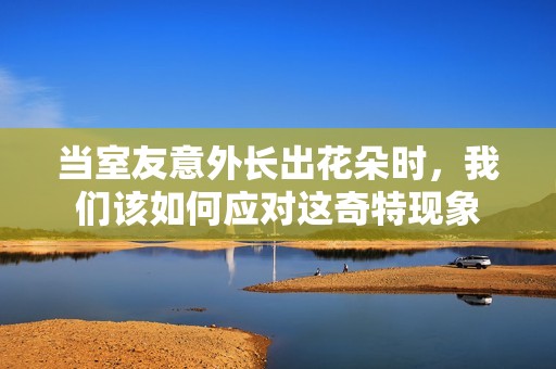当室友意外长出花朵时，我们该如何应对这奇特现象