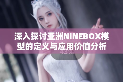 深入探讨亚洲NINEBOX模型的定义与应用价值分析