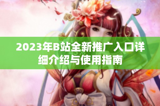 2023年B站全新推广入口详细介绍与使用指南