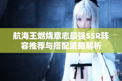 航海王燃烧意志最强SSR阵容推荐与搭配策略解析