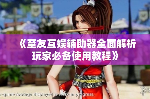 《至友互娱辅助器全面解析玩家必备使用教程》