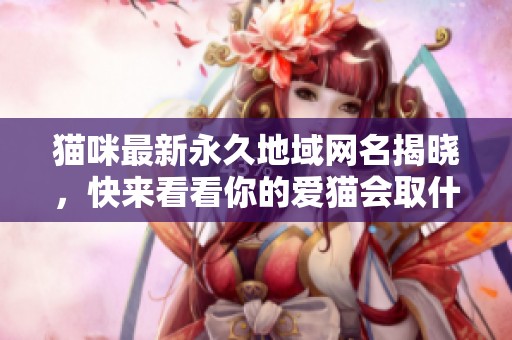 猫咪最新永久地域网名揭晓，快来看看你的爱猫会取什么名字