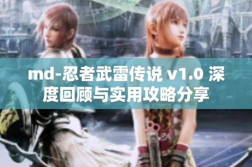 md-忍者武雷传说 v1.0 深度回顾与实用攻略分享