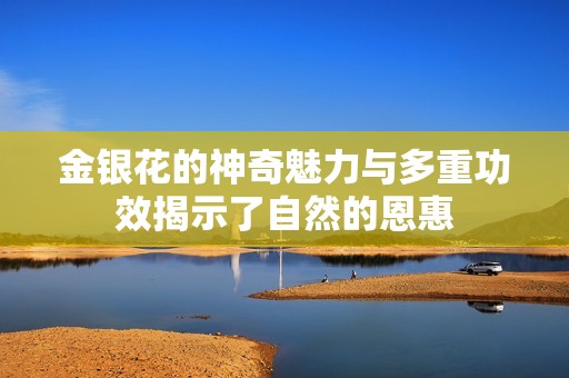 金银花的神奇魅力与多重功效揭示了自然的恩惠