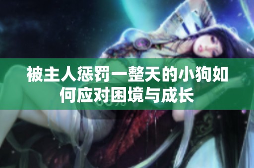 被主人惩罚一整天的小狗如何应对困境与成长